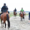 StPeter-Ording_2013-0001