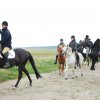 StPeter-Ording_2013-0014