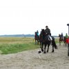 StPeter-Ording_2013-0016