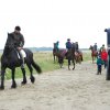 StPeter-Ording_2013-0017