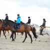 StPeter-Ording_2013-0030