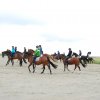 StPeter-Ording_2013-0031