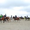 StPeter-Ording_2013-0032