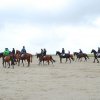 StPeter-Ording_2013-0033