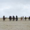 StPeter-Ording_2013-0040