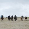 StPeter-Ording_2013-0044