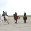 StPeter-Ording_2013-0046