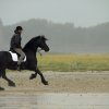 StPeter-Ording_2013-0047