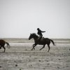 StPeter-Ording_2013-0051