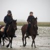 StPeter-Ording_2013-0056