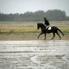 StPeter-Ording_2013-0057