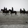 StPeter-Ording_2013-0063